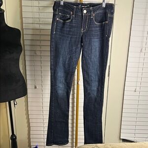 American Eagle Outfitters Dark Blue Straight Leg Jeans
